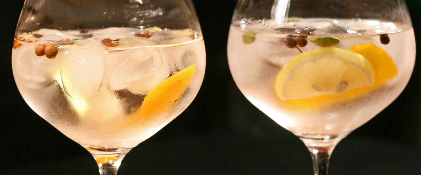 The Forester Banner - Spanish Gin 01 The Forester Banner - Spanish Gin 01